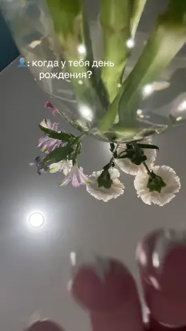 Мы лучшие так то😪