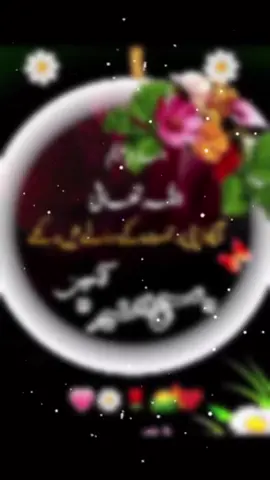 #raheelaali5 #viral 