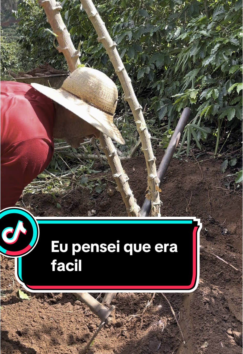 Olhando assim parece ser fácil #trabalhomanual #agro #roça 
