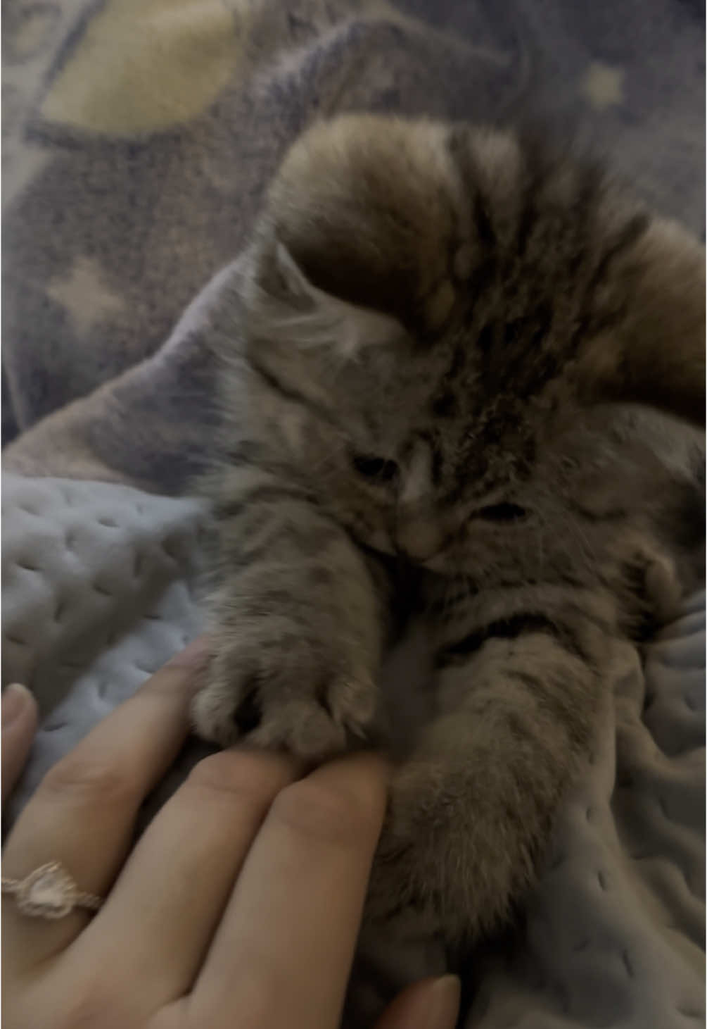 I love you