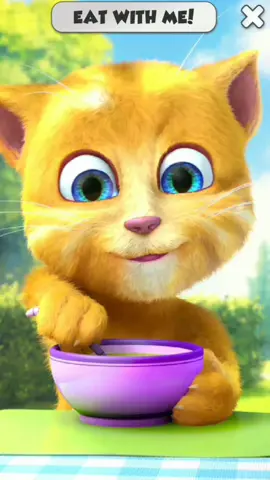 Talking Ginger #talkingginger #talkingtom #talkingtomandfriends #cocomelon #pinkfong #cartoon #fun #funny #viral 