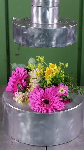 Relaxing and mesmerizing, explore this and more on @HPC Official! #amazing #asmrfood #satisfyingvideo #asmrtiktoks #satisfying #asmrvideo #asmrsounds 