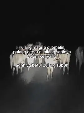 #pengembalasapi🐂🐂 #pertenakmuda  #fyppppppppppppppppppppppp #sapibalap🔥 