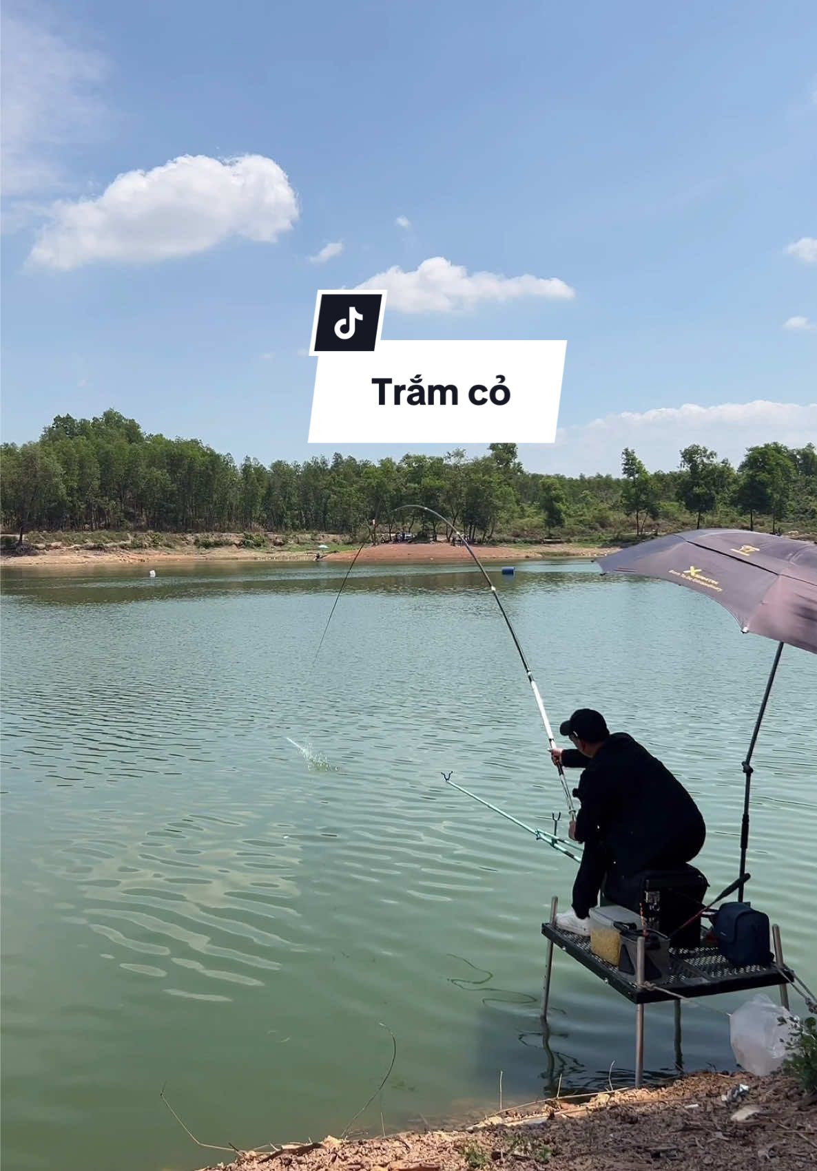 Mùa câu trắm cỏ tới rồi anh em ơi #chungnguyenfishing 