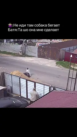 Батя и питбуль😂#рекомендации #собакагавкает#батя