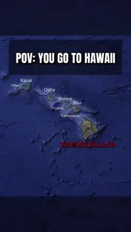 POV: You go to Hawaii #hawaii #travel #usa 