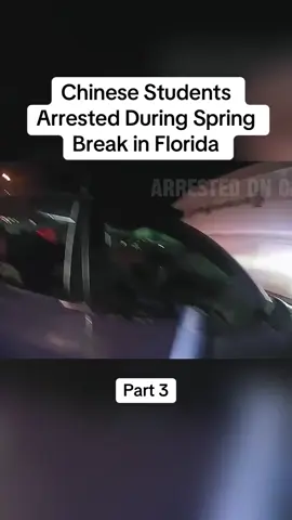 Chinese Students Arrested During Spring Break in Florida #cops #copsoftiktok #police #policeofficer #bodycam #crime #truecrime #truestory #foryou #fyp 