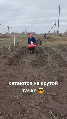 #ктохочетпокататься? 