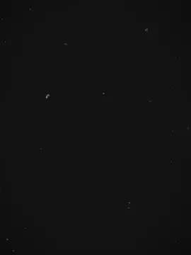 #CapCut 
