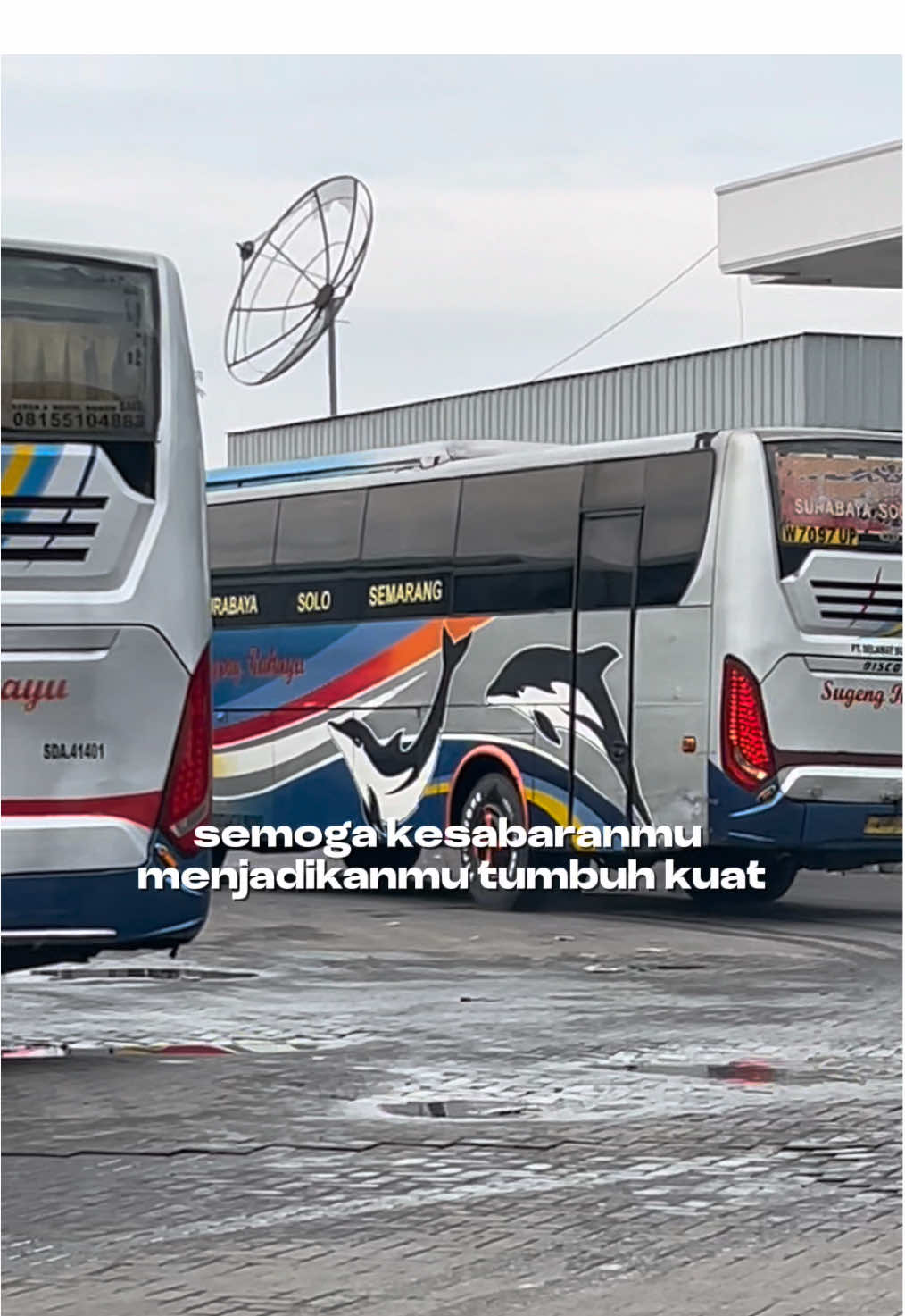 🫵🏻 #4u #sugengrahayu #sumbergroup #busmania #foryoupage #mudik #ramadhan 