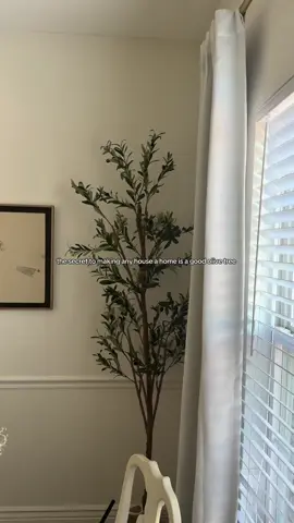 When I tell you I have one in EVERY room!!! These are my favorite addition- instantly warms it up 🥹🤎🌱  #homedecor #olivetree #artificalplants #cozyhome #inteiordesign #homeaesthetic #neutraldecor #homevibes #styledspaces #warmminimalism #homeinspo #affordabledecor 