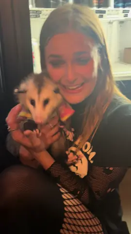 Happy would be an understatement #awesumpossum #possum #ceremonybrewing #fyp