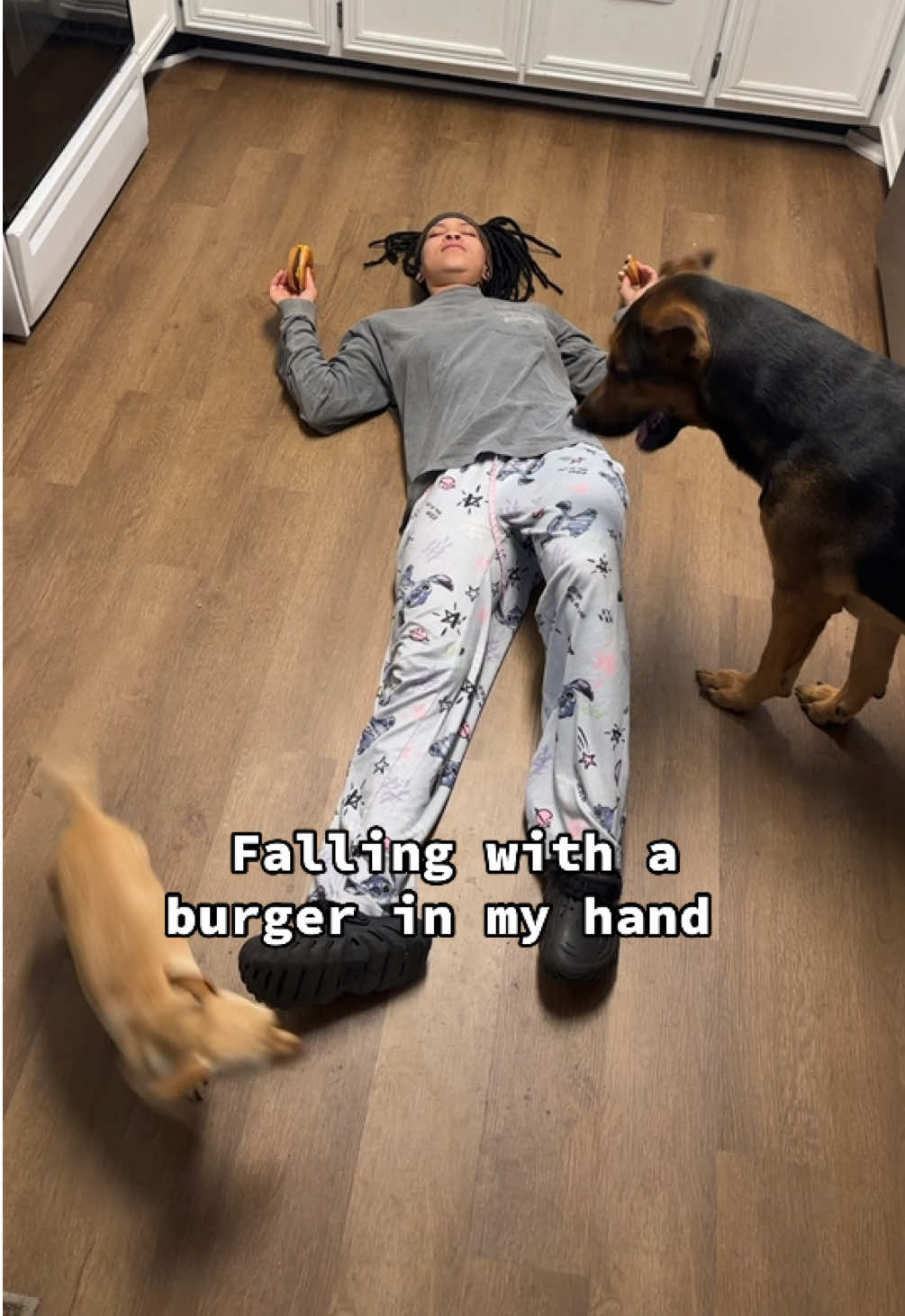 😭 #foryou #dogs #fyp #dogprank 