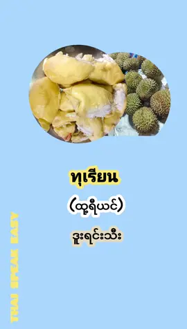 #ထိုင်းစာထိုင်းစကားတူတူလေ့လာကြရအောင်  #သစ်သီးအခေါ်အ​ေ၀ါ်များ #နေ့စဥ်သုံးထိုင်းစကား  #အခြေခံသုံးထိုင်းစကား  #Thaispeakeasy 