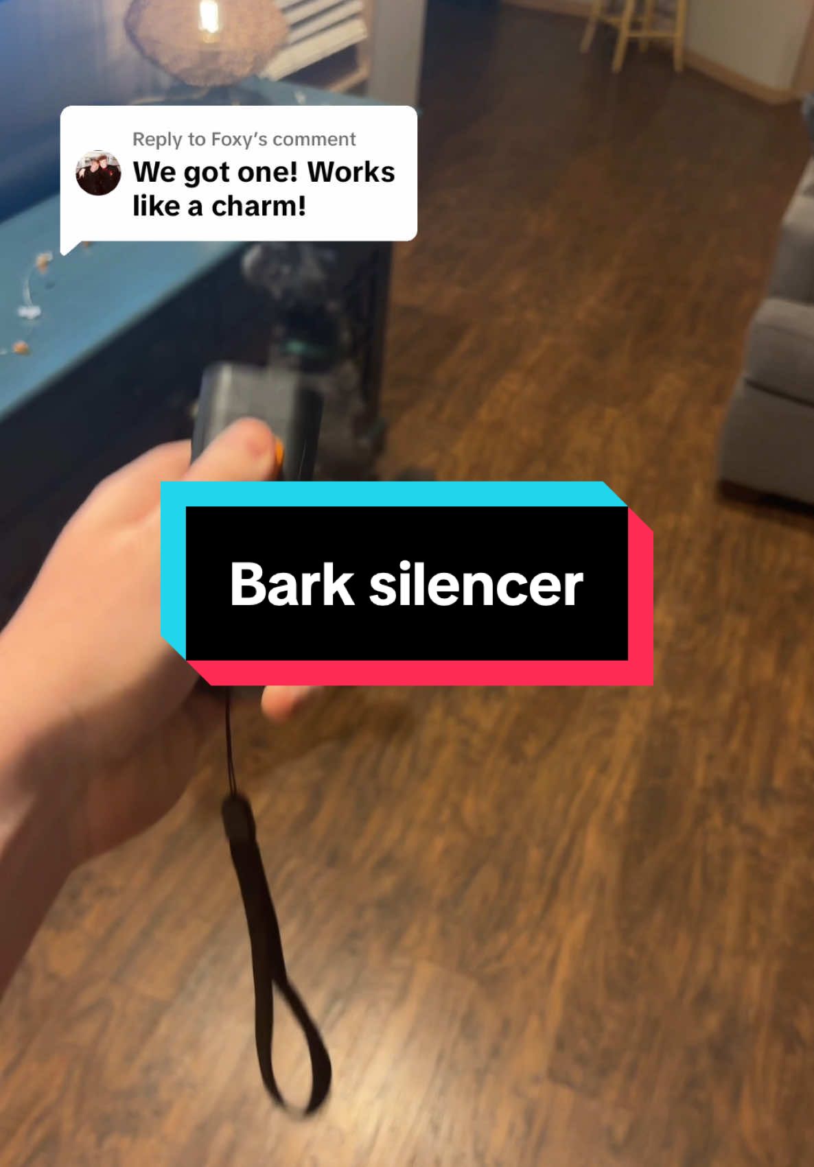 Replying to @Foxy great device to properly train your dog good behavior #dog #dogs #dogsoftiktok #dogsoftiktokviral #dogmomlife #tiktokmademebuyit 