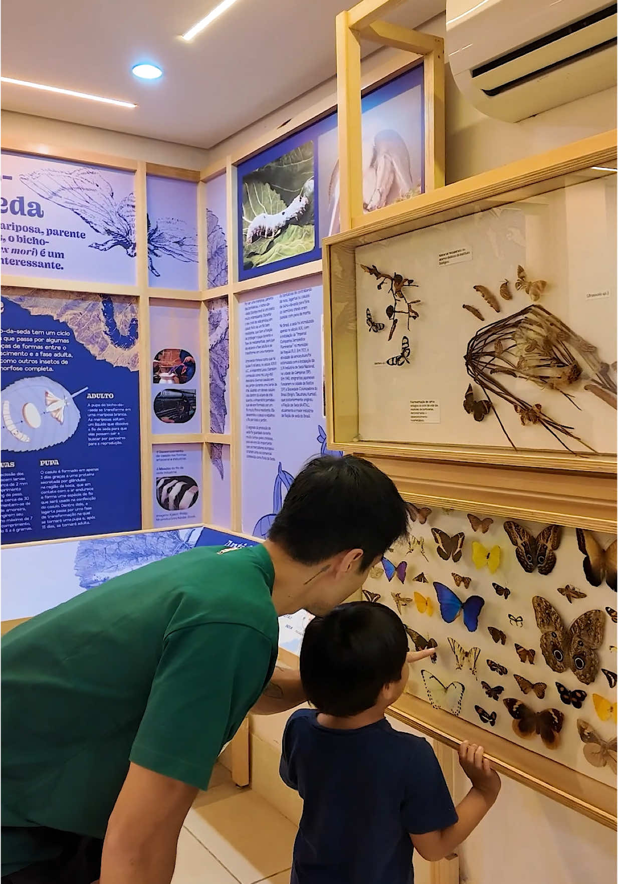 rolê perfeito pra quem tem pavor de insetos (não tô sendo irônico haha)!  correção: o único *jardim zoológico de insetos do brasil e da américa latina! 📍Planeta Inseto: Museu do Instituto Biológico - Av. Dr. Dante Pazzanese, 64 - Vila Mariana, São Paulo