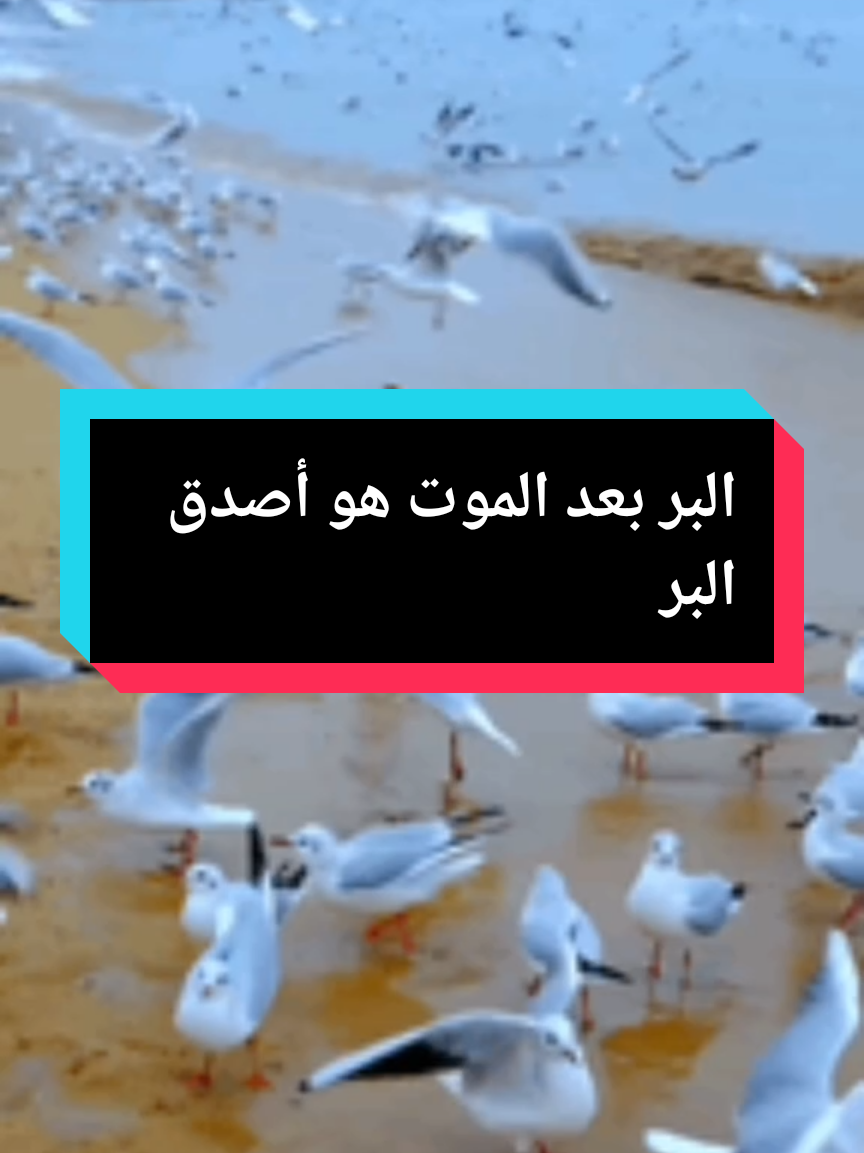 البر بعد الموت هو أصدق البر اللهم ارحم أمي وأبي واجعل قبرهما روضة من رياض الجنه اللهم ادخلها الجنه بغير حساب ولا سابق عذاب اللهم انزلها منازل النبيين والصديقين والشهداء والصالحين وحسن أولئك رفيقا اللهم اسكنها الفردوس الاعلى من الجنه اللهم امين يارب العالمين #البر_بعد_الموت_اصدق_البر #الله_يرحمك_ويجعل_مثواك_الجنه_يارب #رحمك_الله_يا_فقيدة_قلبي #رحمك_الله_يا_امي #اللهم_امين_يارب_العالمين #ابي_الله_يرحمك_ويرحم_موتي_المسلمين #الانتشار_السريع #الله_يرحمك_ياابوي #الله_يرحم_ليكم_الوالدين #اللهم_امين 