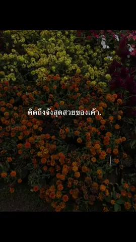 #ลงตามอารมณ์ #เธรด #ฟิดดดシ 