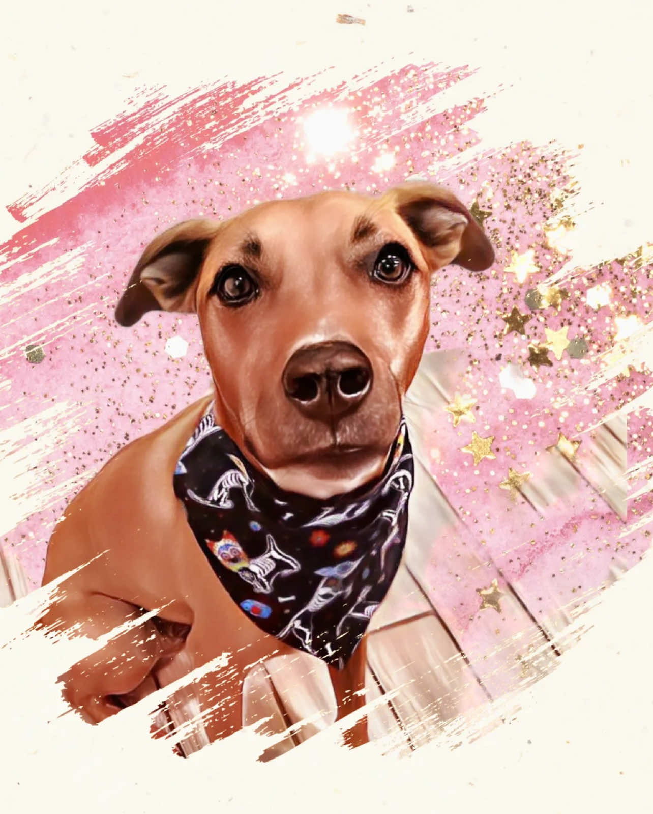 So much more coming! The best thing about these is you don’t have to worry about it being too tight. Simply slide your dog/cats collar through and you get the perfect fit ! #dogmom #dogbandana #dogscarf #catdog #catsoftiktok #catclothes #dogclothes #dogaccessories #cat #furbaby 