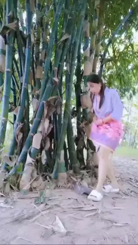 mau ketawa takut dosa video lucu bikin ngakak hiburan warga+62  #viral #trending #tiktok #viralvideo  #funnyvideos #fyp 