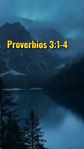 Proverbios 3:1-4  Hijo mío, no te olvides de mi ley; guarda en tu corazón mis mandamientos. Ellos prolongarán los años de tu vida y te traerán abundante paz. No te apartes de la misericordia y la verdad; átalas alrededor de tu cuello, escríbelas en la tabla de tu corazón. Así contarás con el favor de Dios, y con una buena opinión ante los hombres   #creatorsearchinsights#proberbios#bibleverse#prayer #Godwords#motivacional #videoscristianos #Godquotes 