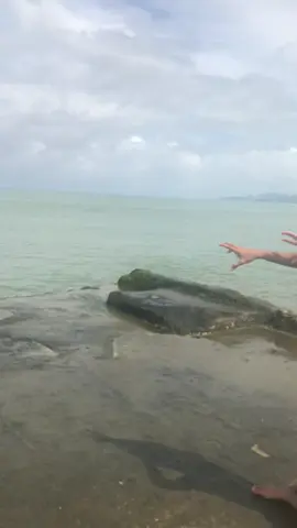 Water bender 💦#kobeestriber 