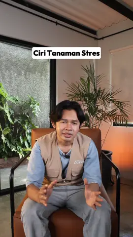 Ini ciri-ciri tanaman stres yang perlu kamu ketahui, agar bisa mencegahnya lebih awal! #pertanian #petani #petanicabe #fulka