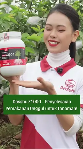 🌿 RAHSIA TANAMAN TUMBUH CEPAT – SIHAT – HASIL BERGANDA! 🌱