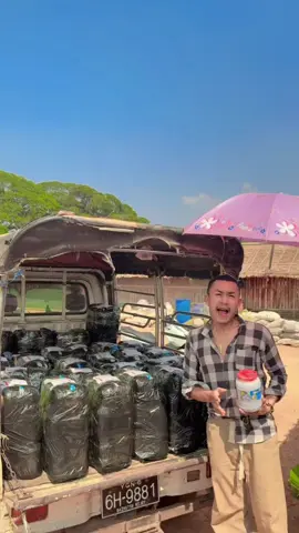 ငပိနဲ ငရုပ်သီးမူန့်က ဒီလိုမျိုးကို ဝက်ဝက်ကွဲရောင်းရတာ ပိုမနိုင်အောင်ပဲ ဗျာ👏✌️❤️❤️❤️