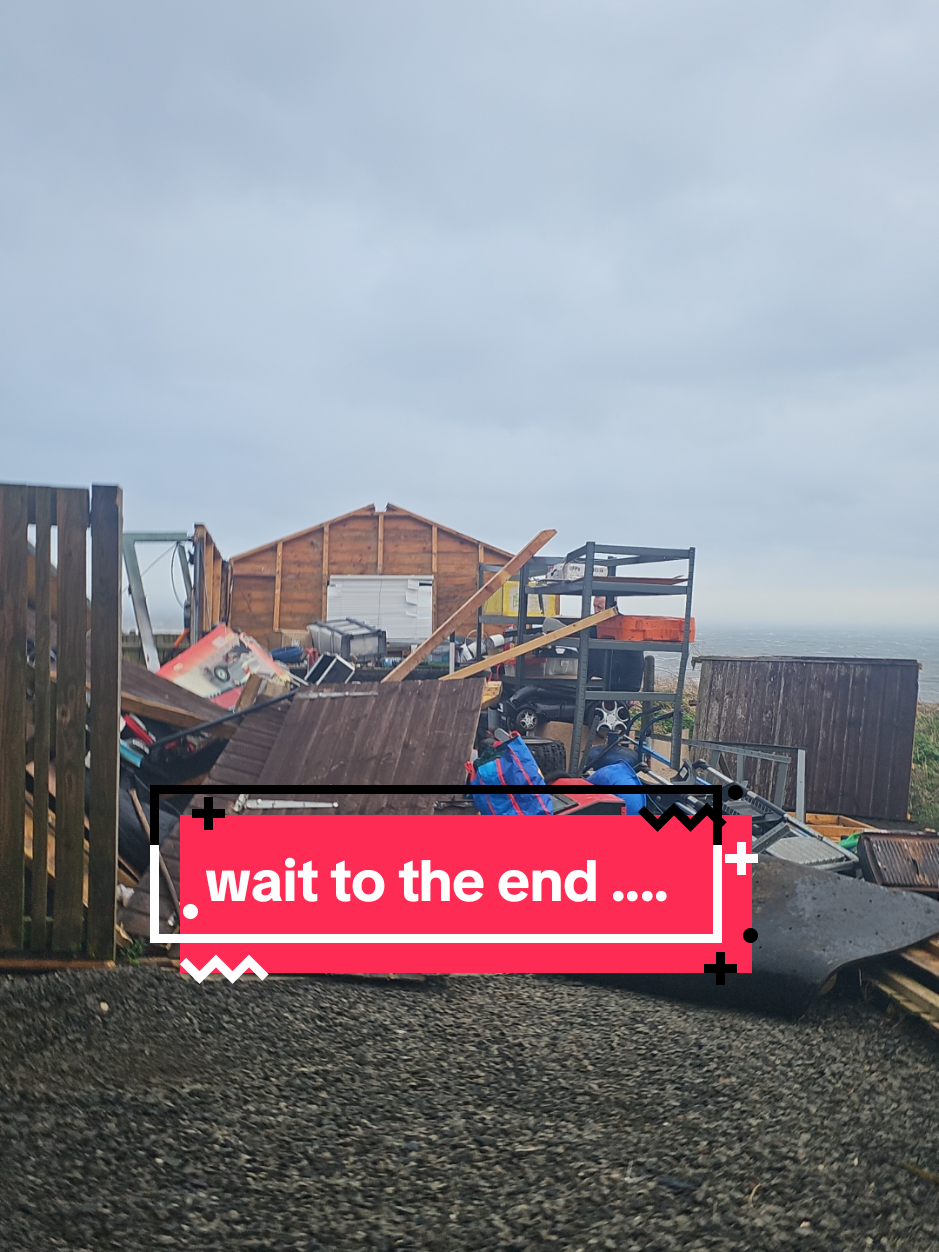 part 1 of garden transformation after storm Eowyn!! cant wait until its done #storm #fifecoastalpath #Scotland #transformation #hardworkpaysoff 