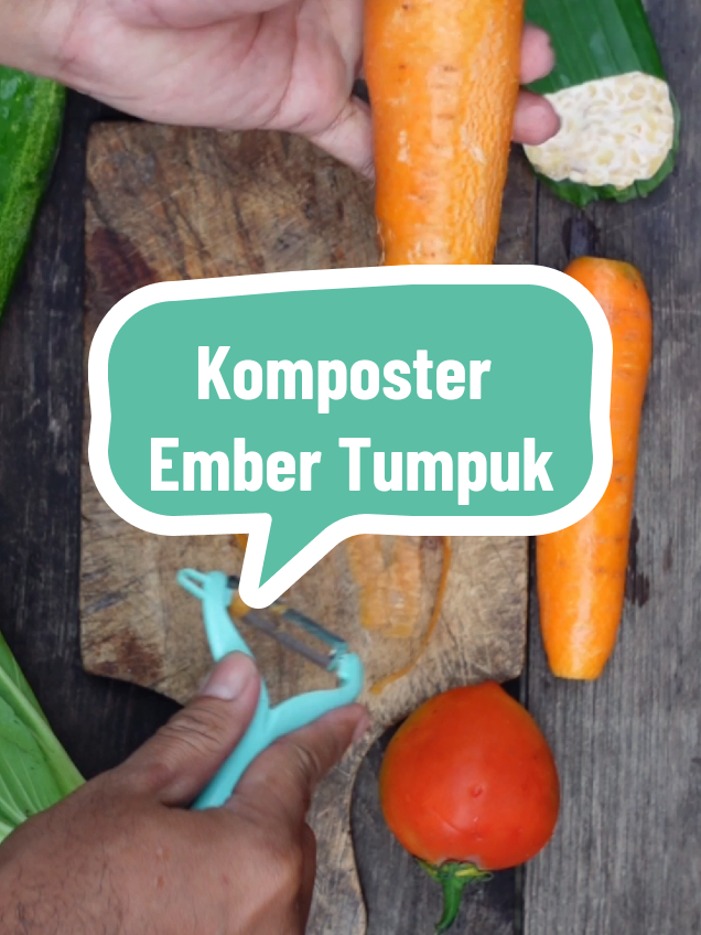 Komposter Ember Tumpuk #komposter #pupukorganik #berkebun #menanam #petani #petanimuda #petaniindonesia🇮🇩🇮🇩🇮🇩🌿🌿 #gardening 