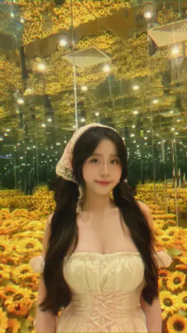 Hoa hướng dương và mirra 🌻.              #starrynight#hoahuongduong🌻 #xuhuong #capcut_edit 