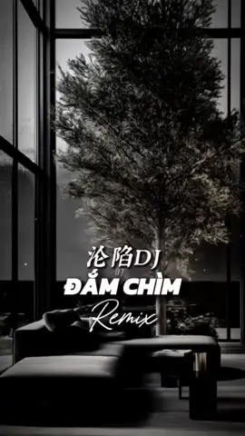 Đắm Chìm Remix - 沦陷DJ | Nhạc Trung 2 Ảnh Cuốn #nhachaymoingay #盛宇shengyu #CapCut #capcutmaster #xh 