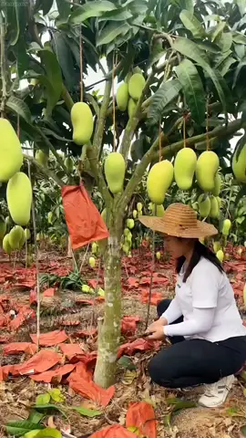 OMG😱🔥🥰💥#fruit #fruits #happy #fyp #threefarmers #asmr #foryou 