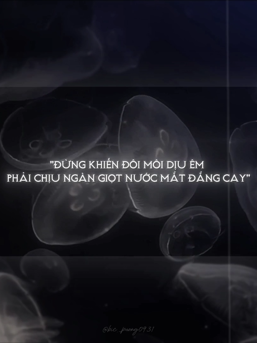 Nhạc ảnh cuốn khỏi bàn!! #staypositive♫ #aettentertainment #bic_puong0931 #nhacchill 