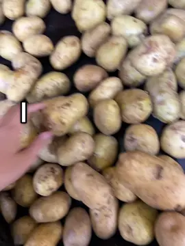 I was in the store with my mom and i saw a potato ta looks like a heart, so i picked up and recorded it, it was so cute and my mom buy it and we make it into mashed potatoes 🥔 #potota🥔 #foryou #iloveyou 