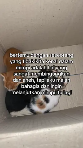 kalian prnh ga si? ketemu sama orang yang kalian ga knl dalam mimpi, tapi aneh nya kalian nyaman dan aman sama itu orang, dan aku selalu mimpikan dia yang aku gatau itu siapa #fyp #4u 