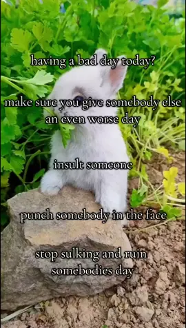 motivation #fyp #evilbunnytok #bunny #food #slimetok #jollytok #juggtok #loveyourself #positivityonly #evil #xyzbca #xyzcba #❤️ #Love #animalsoftiktok 