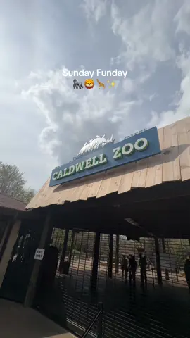 Sunshine, fresh air and a Sunday well spent 🦍🦒🦁✨ #fyp #parati #undiaenmivida #familydayout #familytime #momlife #sundayfunday #familyoutings #familydayvlog 