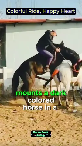 Today the most beautiful cute Stallion horses animals meeting and breading in my USA Farm #horses #animals #meeting #breading #crossbreading #usa #tiktok #breadinglovers #horsemeeting