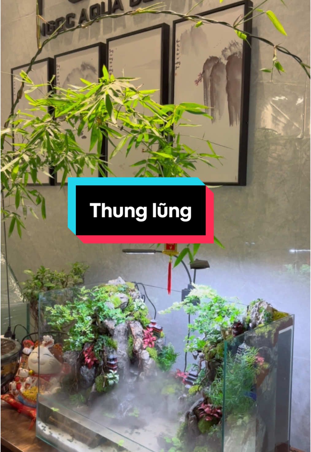 Tiểu cảnh “thung lũng” #ngocaquadesign #aquarium #thuysinh #xuhuong #terrarium #thacnuoc #tieucanh 