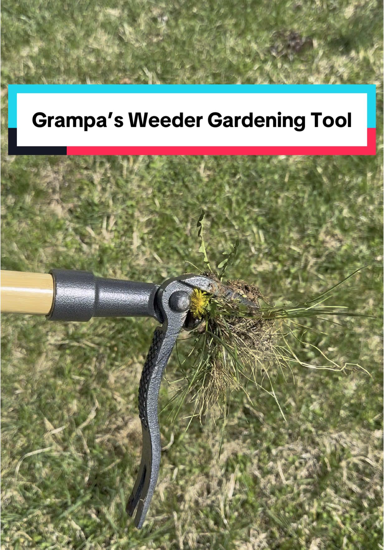 Still shocked how well this thing works! Perfect Mother’s day gift idea!! #gardening #grampasweeder #yardwork #gardentok #tiktokshopfinds 