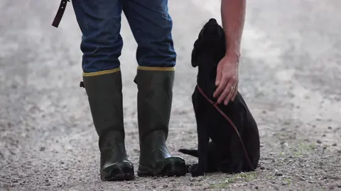 Let them think you have them! 🐶 Great way to start transitioning to off lead heel is incrementally using baby steps like this with puppies and unclipping the adjustable leader! 🐶🦮 • • • #dogleash #dogleashes #DogTraining #dogtrainer #puppytraining #puppytrainer #puppywalking #dogwalking #heeltraining #heelwork #heelworktraining #blacklab #blacklabrador #doghacks #dogtips #dogadvice #dogproducts #dogsupplies