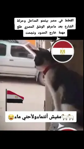 #الجيش #المصري #السيسي_مصر🇪🇬 #المخابارات #المصرية 