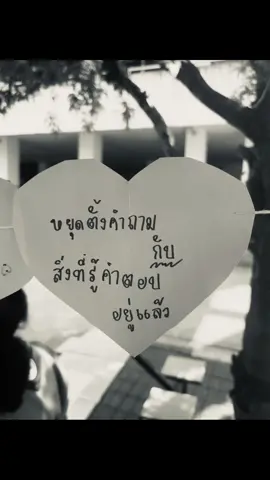 #เธรดเพลง #เธรดความรู้สึก #fyp 