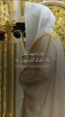 #عبدالله_القرافي #سورة_القصص #quran 