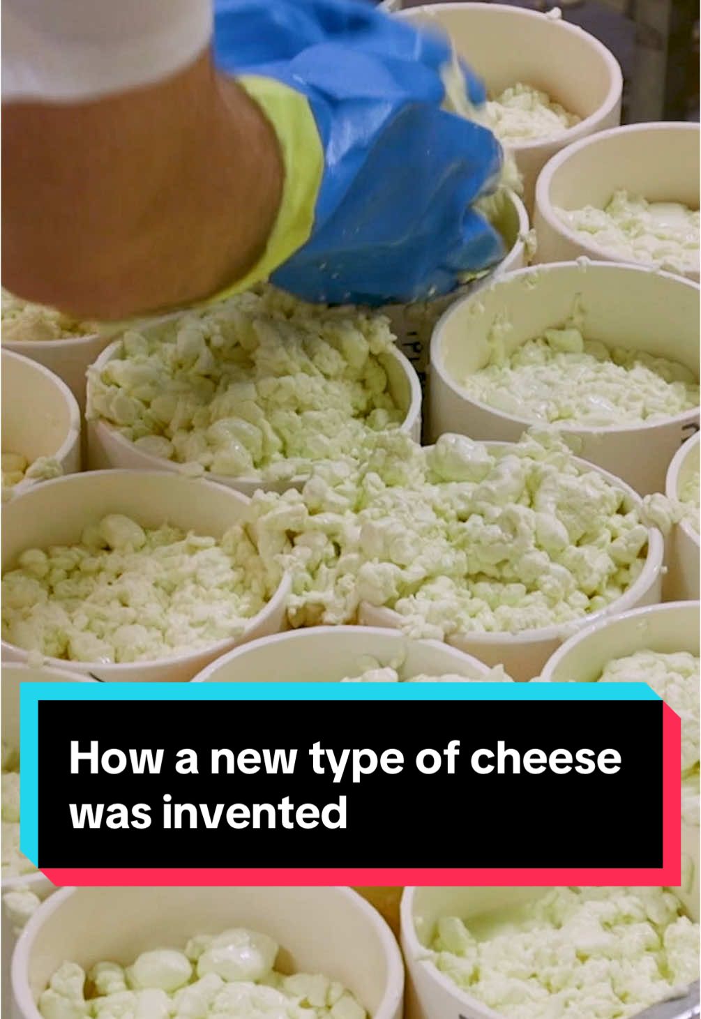 A New Zealand cheese-maker discovers a unique blue mold, inventing a new type of cheese. #newzealand #cheese #mold 