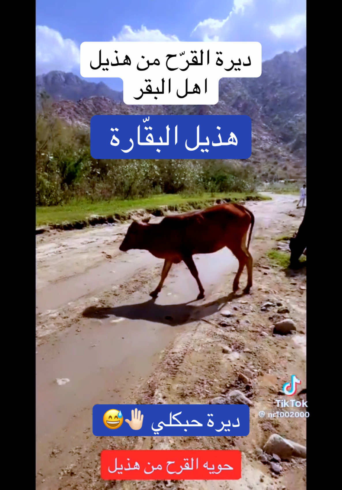 #هذيل515 #تركي_2000 #سفر_الدغيلبي #حامد_القارحي 