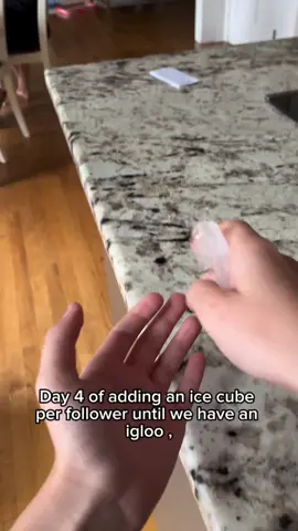 Day 4 of adding 1 ice cube per follower until I have a igloo