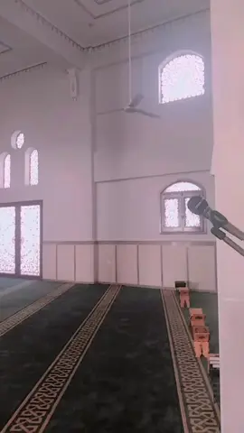 #🤍🤍🤍🤍🤍🕊️🕊️🕊️ 
